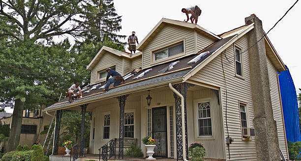 Best Gutter Installation and Roofing  in Dunn, NC